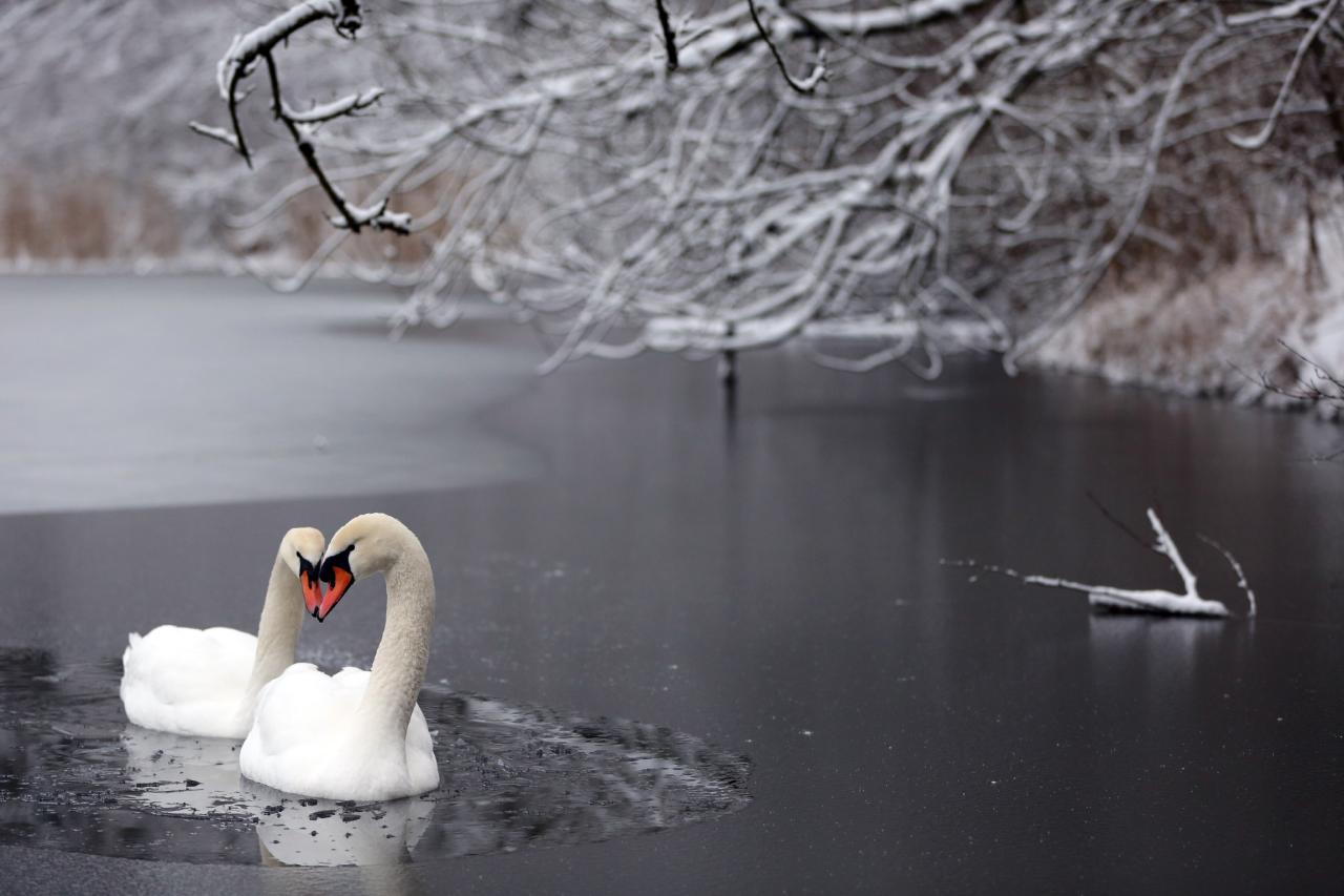 Winter im Oberallgäu
